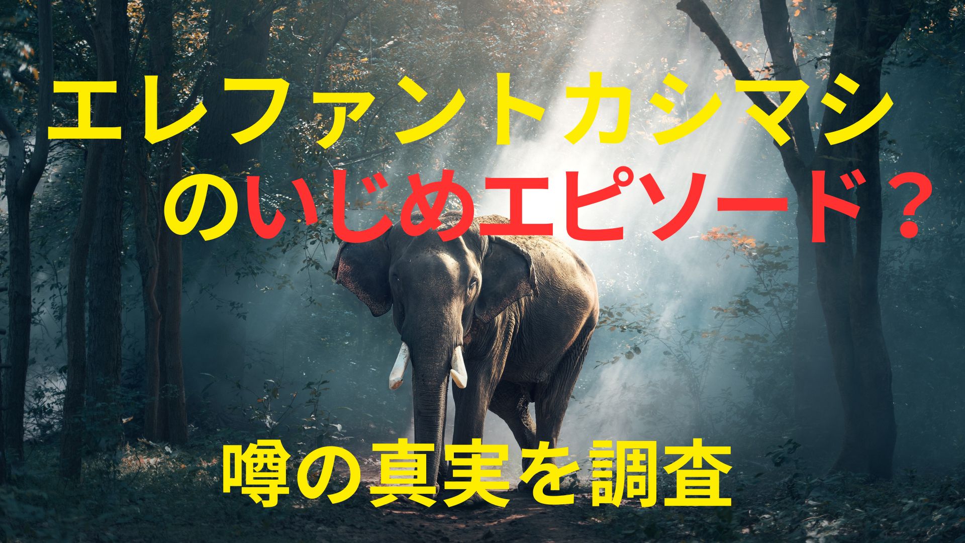 エレファント カシマシ いじめ